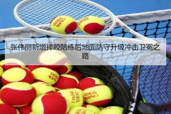 张伟丽新增摔跤陪练后地面防守升级冲击卫冕之路